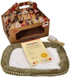 Chiot respirant à adopter Shiba