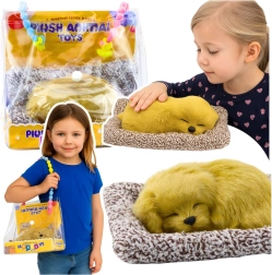 Sleeping Labrador puppy on a cushion with fluffy fur in a carry bag