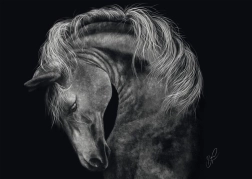 Puzzle Horse Power 1000 pieces