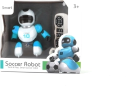 Infrarot-Roboter-Fußballer