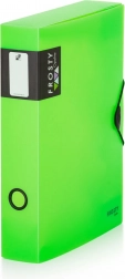 Doos met elastiek A4 Opaline Frosty groen