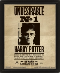 3D afbeelding Harry Potter - Sirius