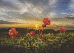 Puzzle Heye Blackberries Cloudberries 1000 Pieces