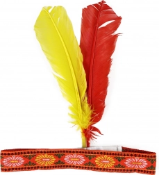 Indiaanse hoofdtooi met veren