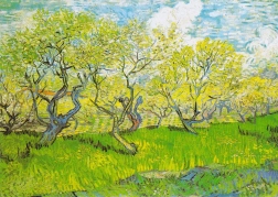 Puzzle Vincent van Gogh : Verger en Fleurs 1000 pièces
