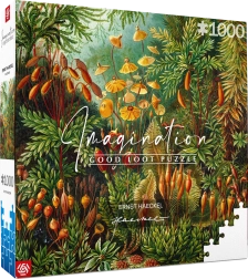 Puzzel Imagination: Ernst Haeckel - Muscinae 1000 stukjes