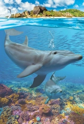 Eurographics Puzzle Dolphins XL 250 Pieces