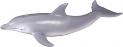 Dolfijn