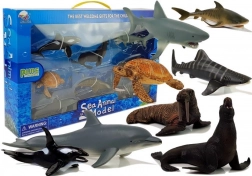 Educational Sea Animals 8 Pieces Sharks Seal Dolphin Walrus Turtle