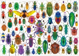 Educa Puzzle Insectes 500 pièces