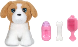 Set interactif chien
