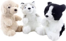 Pluche hondje 17 cm eco-friendly