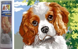 Norimpex Diamond Painting Dog Eyes 30x40cm