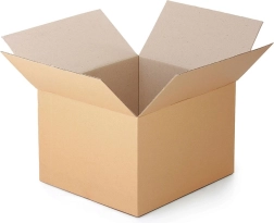 Cardboard flap box 300 × 200 × 100 mm, three-ply