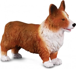 Figurine Welsh Corgi de CollectA