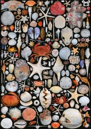 Puzzel Vanaf het Strand 1000 stukjes PIATNIK