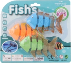 Diving Skeletons for Kids