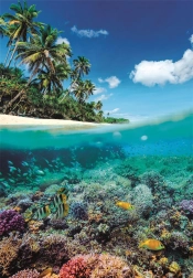 Puzzle Summer Paradise 1000 pieces by Clementoni