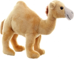 Pluche dromedaris 20 cm