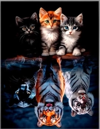 Diamant schilderen – katten en grote katten 30 × 40 cm