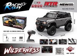 RC auto Wilderness 1:10 grijs