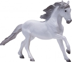 Mojo Cheval Lusitanien blanc