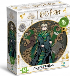 Puzzel Harry Potter: Draco Malfoy 250 stukjes
