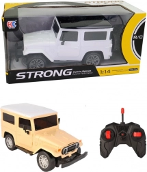 Off-road auto op afstandsbediening met lichten