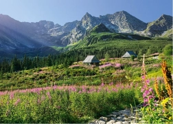 Puzzle CHERRY PAZZI High Tatras – Housenková Valley, 1000 pieces