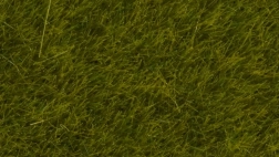 Statische gras Wilde weide 6 mm