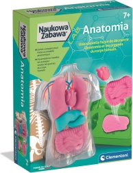Kit éducatif d’anatomie CLEMENTONI