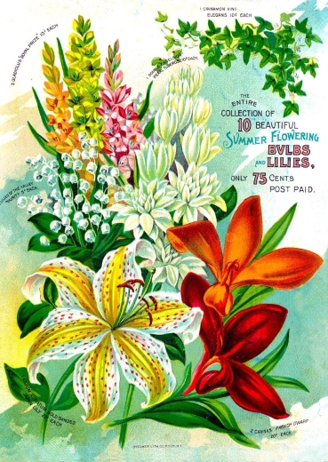 Enjoy Puzzle Vintage Flower Catalog 1000 Pieces