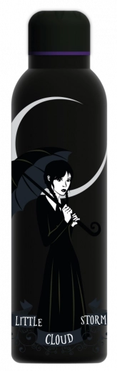 Roestvrijstalen fles Wednesday 700 ml