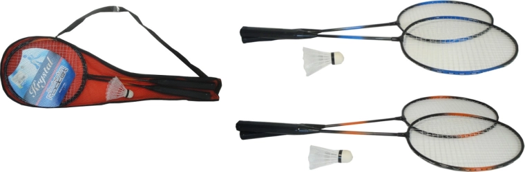Badminton Set in a Case