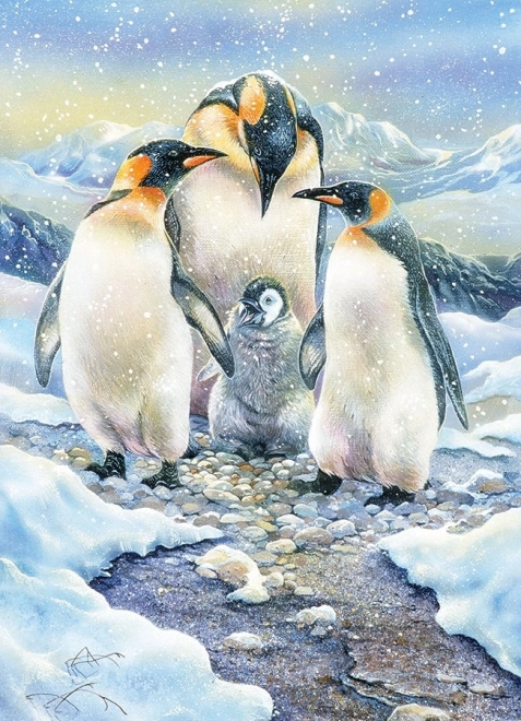 Familiepuzzel Pinguïn Familie 350 stukjes COBBLE HILL