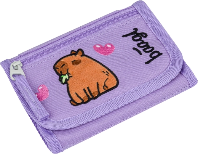 Separate coin pocket