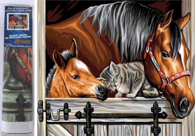 Diamantschilderen – paarden met kat 30 × 40 cm