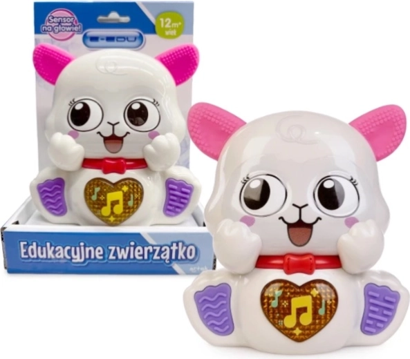Musical Sheep e-edu