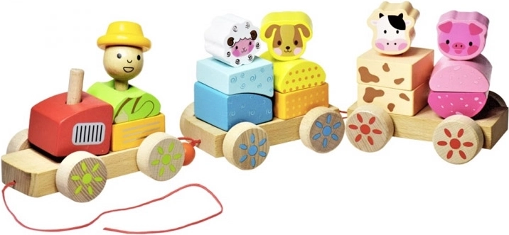Wooden Train with Animals