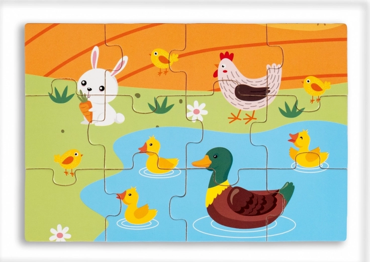 Supports skill development