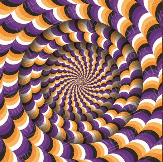 Puzzel optische illusie 1023 stukjes MAGNOLIA