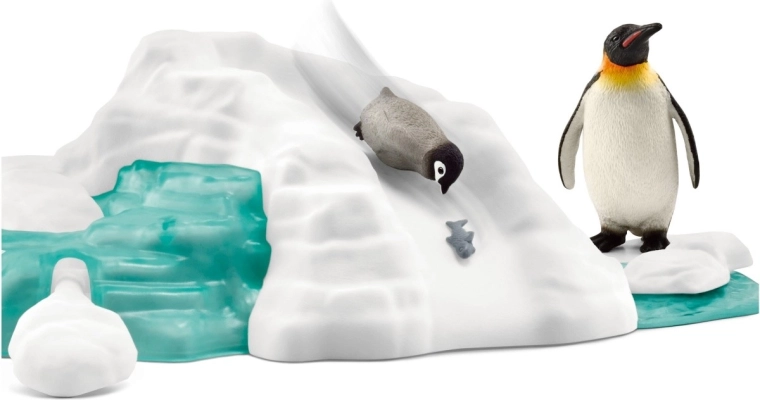 An ice floe full of fun