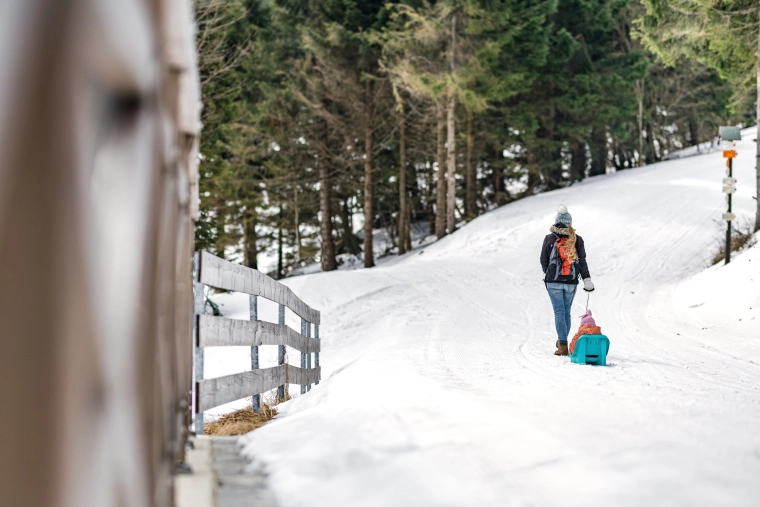 Licht trekken op de sneeuw