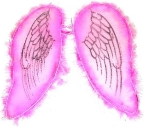 Pink wings for an angel and fairy