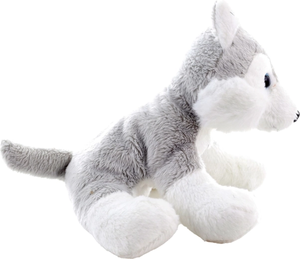 Veilig voor de allerkleinsten