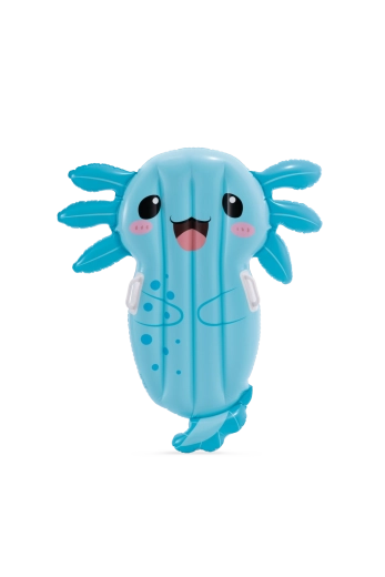 Poignées robustes pour une prise sûre