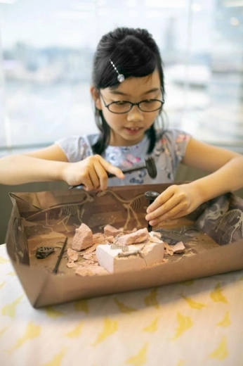 Learning through play: paleontology for kids