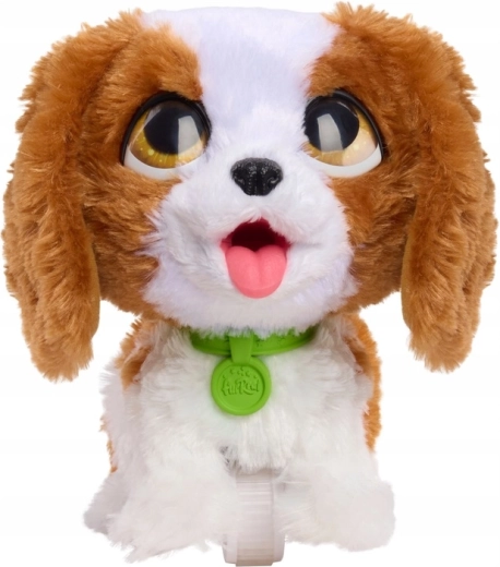 Peluche toute douce et look adorable