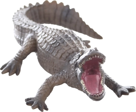 Dimensions compactes et rangement facile