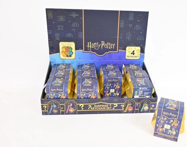 Harry Potter Collectible Surprise Keychain (1 pc)